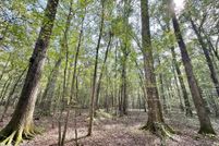 Property for sale in Simpson County, Mississippi