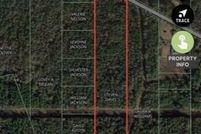 Undeveloped Land for sale in Wilkinson County, Mississippi