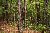 Lakefront Property for sale in Wilkinson County, Mississippi