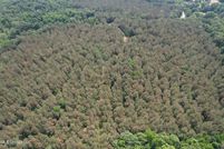 Property for sale in Yalobusha County, Mississippi