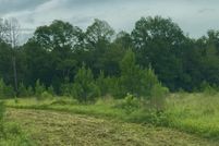 Undeveloped Land for sale in Copiah County, Mississippi