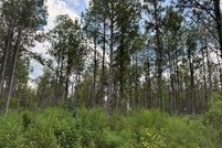 Property for sale in Amite County, Mississippi