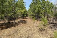 Property for sale in Newton County, Mississippi