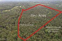 Undeveloped Land for sale in Lawrence County, Mississippi