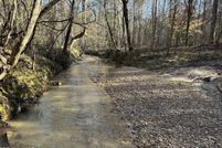 Lakefront Property for sale in Claiborne County, Mississippi