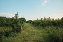 Property for sale in Smith County, Mississippi