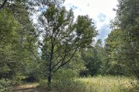 Property for sale in Scott County, Mississippi