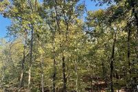 Undeveloped Land for sale in McCurtain County, Oklahoma