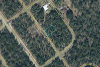 Undeveloped Land for sale in Washington County, Florida