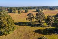 Undeveloped Land for sale in Walton County, Florida