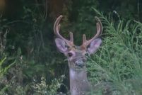 Lakefront Property for sale in Holmes County, Florida