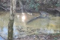 Property for sale in Walton County, Florida