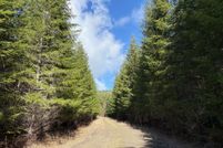 Undeveloped Land for sale in Lane County, Oregon