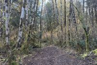 Undeveloped Land for sale in Coos County, Oregon