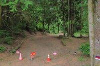 Undeveloped Land for sale in Lane County, Oregon