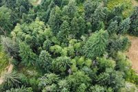 Undeveloped Land for sale in Lane County, Oregon