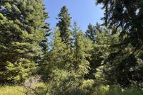 Undeveloped Land for sale in Klickitat County, Washington