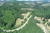 Undeveloped Land for sale in Cowlitz County, Washington