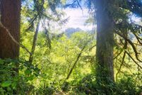 Undeveloped Land for sale in Lane County, Oregon