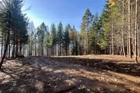 Property for sale in Skamania County, Washington