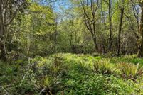 Undeveloped Land for sale in Pacific County, Washington