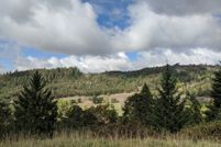 Property for sale in Douglas County, Oregon