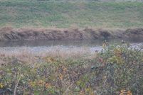 Property for sale in Cowlitz County, Washington