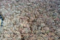 Undeveloped Land for sale in Litchfield County, Connecticut