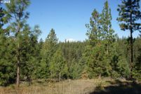 Undeveloped Land for sale in Klickitat County, Washington