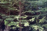 Lakefront Property for sale in Coos County, Oregon