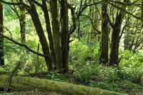 Property for sale in Coos County, Oregon