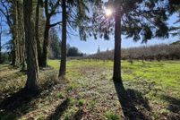 Property for sale in Lane County, Oregon