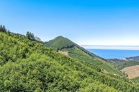 Undeveloped Land for sale in Tillamook County, Oregon