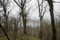 Property for sale in Multnomah County, Oregon