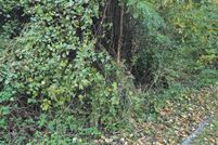 Property for sale in Prince Georges County, Maryland