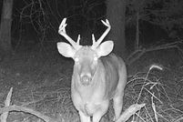 Property for sale in Ottawa County, Oklahoma