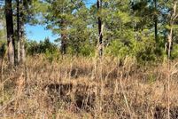 Undeveloped Land for sale in Brantley County, Georgia