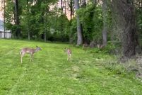 Property for sale in Fairfax County, Virginia