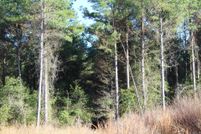 Undeveloped Land for sale in Hempstead County, Arkansas