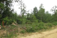 Property for sale in Telfair County, Georgia