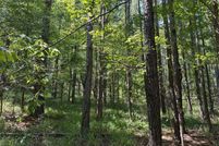 Property for sale in Choctaw County, Alabama