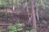 Undeveloped Land for sale in Fannin County, Georgia