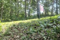 Property for sale in Pickens County, Georgia
