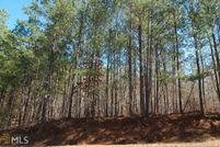 Undeveloped Land for sale in Greene County, Georgia