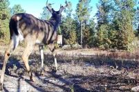 Property for sale in Washington County, Georgia