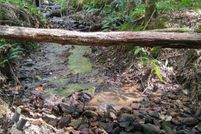 Property for sale in Rabun County, Georgia