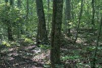 Property for sale in Rabun County, Georgia