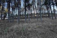 Property for sale in Custer County, South Dakota