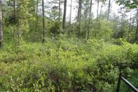 Property for sale in Pender County, North Carolina
