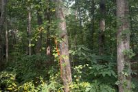 Property for sale in Forsyth County, Georgia